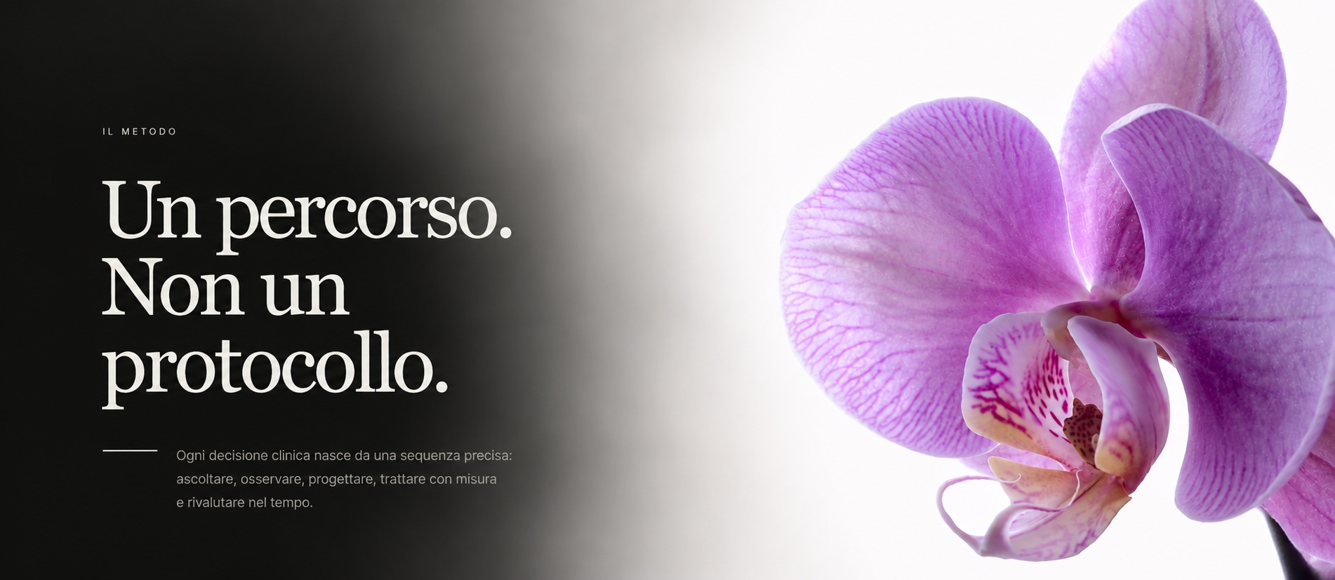 Orchidea illuminata, immagine del metodo clinico